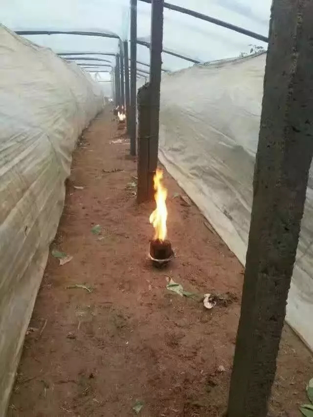 大棚增溫燃料塊