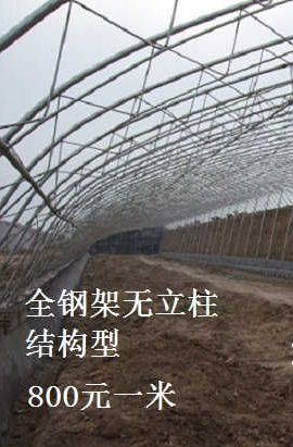 全鋼架-無立柱