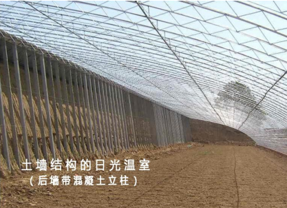 土墻溫室大棚結(jié)構(gòu)