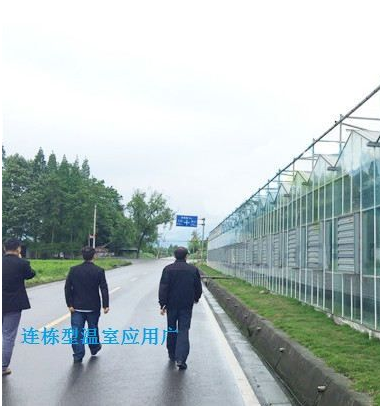 連棟陽光板溫室