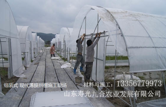 簡(jiǎn)易拱棚