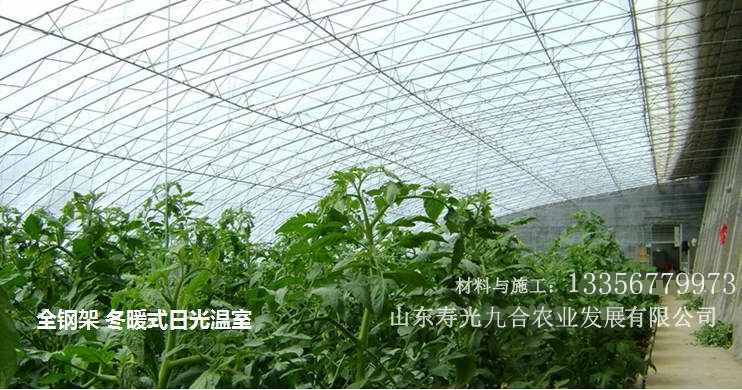 全鋼架冬暖式日光溫室