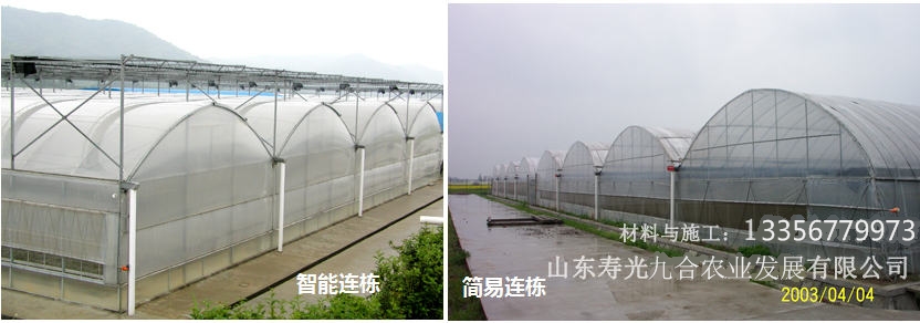 連棟薄膜溫室