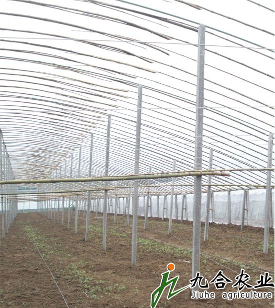 有立柱壽光蔬菜大棚