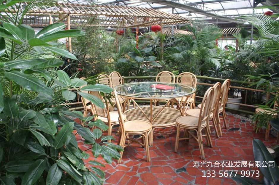 被綠色植株包圍的餐桌
