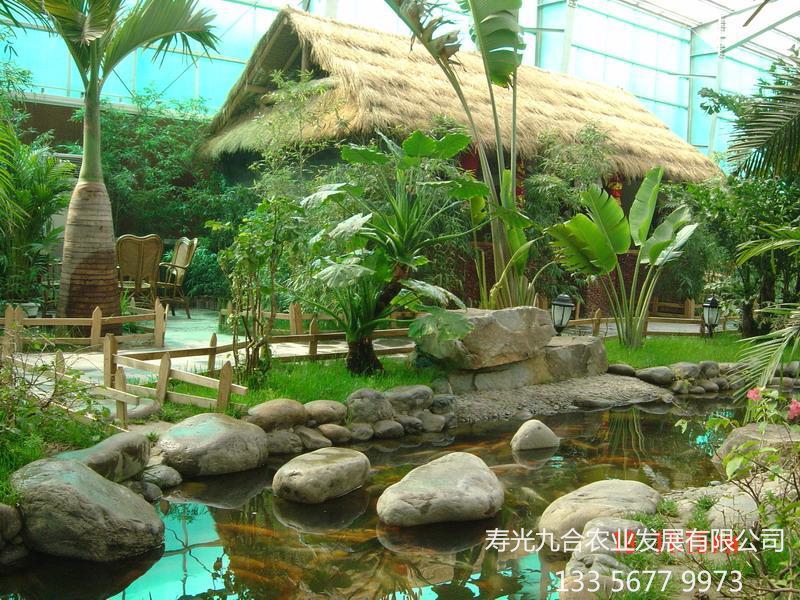 熱帶風(fēng)情