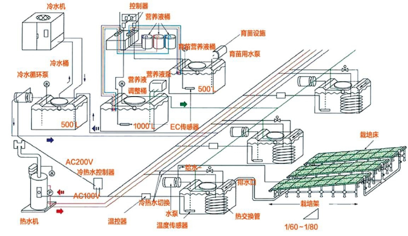 圖5營(yíng)養(yǎng)液溫度調(diào)控和模塊化管理系統(tǒng)概要圖