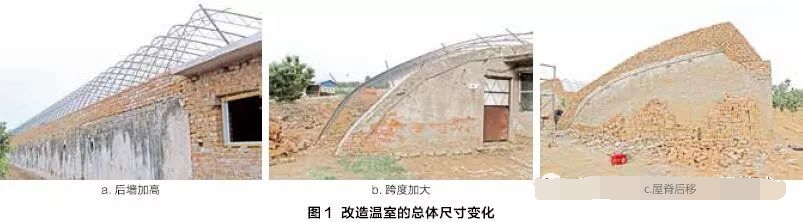 圖1 改造溫室的總體尺寸變化