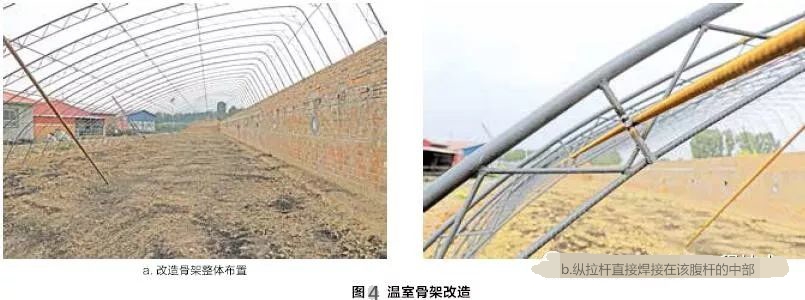 圖4 溫室骨架改造