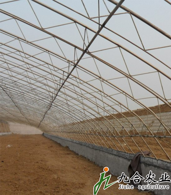 鋼架式日光溫室