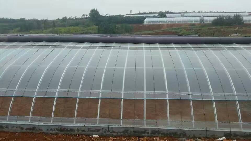 幾型鋼日光溫室