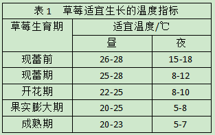 表1 草莓適宜生長的溫度指標