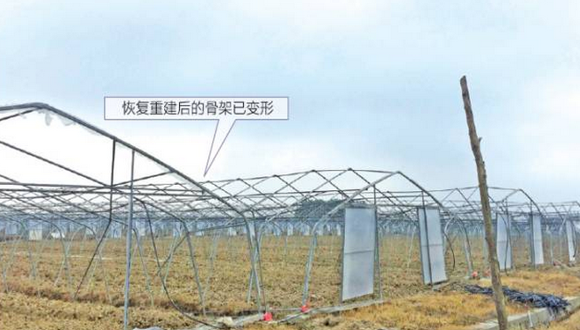 b. 蔬菜生產(chǎn)拱棚骨架恢復(fù)重建（骨架已變形）